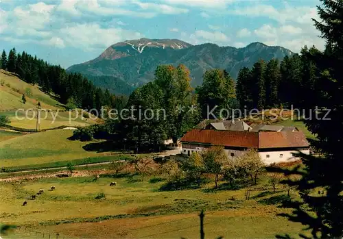 AK / Ansichtskarte Rohr_Gebirge Alpengasthof zur Kalten Kuchl mit Schneeberg Rohr Gebirge