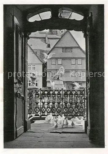 Lauterbach_Hessen Blick aus dem Hohhaus Tauben Loewendenkmal Lauterbach Hessen