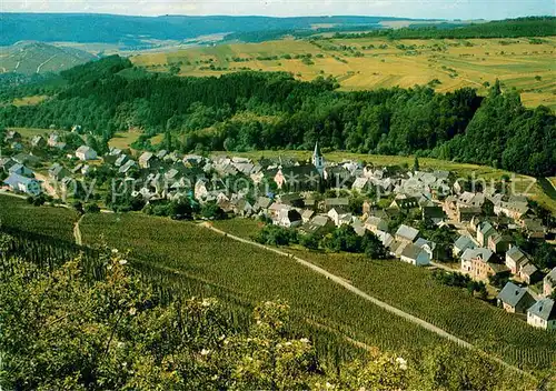 AK / Ansichtskarte Maring Fliegeraufnahme mit Kirchberg und Klosterberg Maring