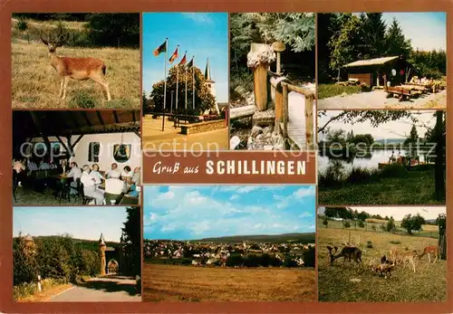 AK / Ansichtskarte Schillingen Reh Fahnenmasten Bruecke Waldhuette Tor Panorama Wildgehege Schillingen