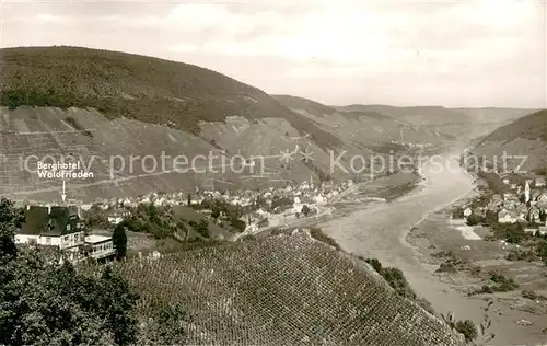 AK / Ansichtskarte Alf_Bullay_Mosel Berghotel Waldfrieden Panorama Moseltal Weinberge Alf_Bullay_Mosel