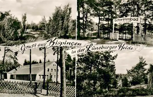 AK / Ansichtskarte Bispingen Landschaftspanorama Lueneburger Heide Schwimmbad Bispingen