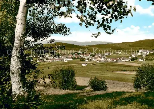 AK / Ansichtskarte Ruhmannsfelden Ansicht vom Waldrand aus Ruhmannsfelden