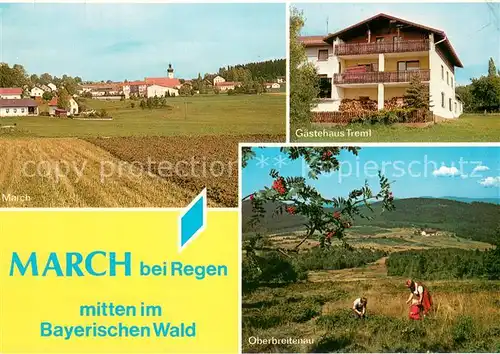 AK / Ansichtskarte March_Niederbayern Ortsansicht Gaestehaus Treml Oberbreitenau March Niederbayern