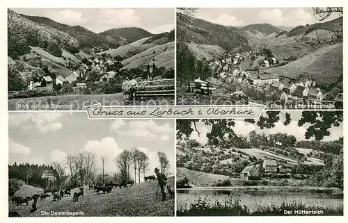 Lerbach_Harz Panorama Blick von der alten Harzstrasse Damenkapelle Viehweide Kuehe Huettenteich Lerbach Harz