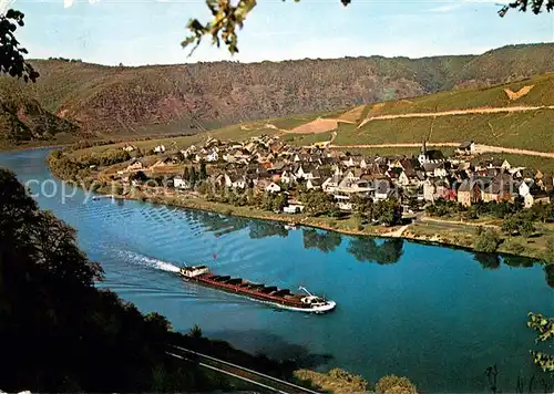 Mesenich_Cochem Panorama Blick ueber die Mosel Binnenschifffahrt Mesenich Cochem