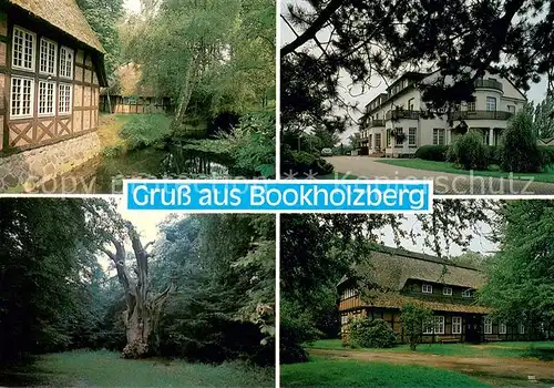 Bookholzberg Freizeitheim Hohenboeken Alte Anwesen Park Alter Baum Bookholzberg