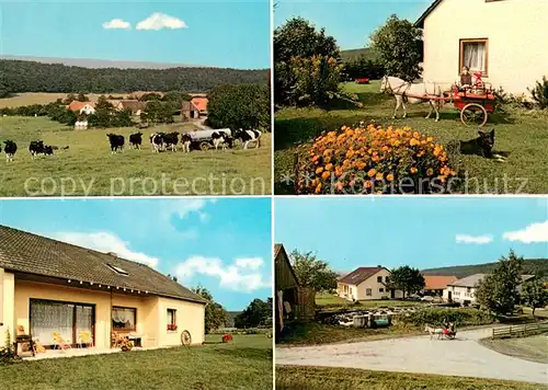 Auetal Urlaub auf dem Bauernhof Panorama Weserbergland Viehweide Kuehe Auetal