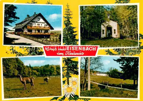 Eisenbach_Limburg Gaestehaus Pension Haus Waldfrieden Kapelle Tierpark Landschaftspanorama Eisenbach Limburg