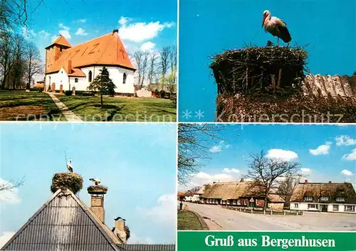 Bergenhusen Paradies der Stoerche Kirche Ortsmotiv Bergenhusen