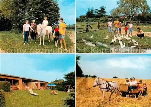 Wessenstedt Ferienhaeuser auf dem Heerweghof Ponyreiten Entenfuettern Liegewiese Ponykutsche Wessenstedt