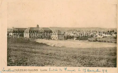 Chateau Salins Panorama Chateau Salins