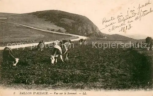 Ballon_d_Alsace Vue sur le Sommet 