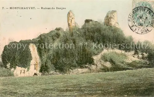 AK / Ansichtskarte Montchauvet_Yvelines Ruines du Donjon Montchauvet Yvelines