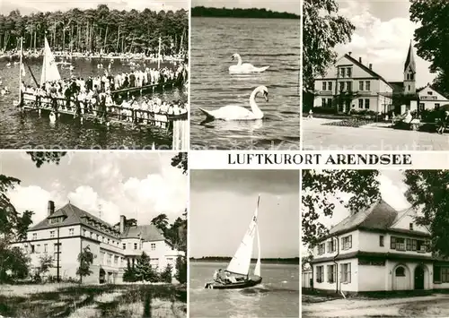 AK / Ansichtskarte Arendsee_Altmark Teilansicht Luftkurort am Arendsee Schwaene Arendsee Altmark