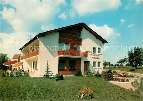 AK / Ansichtskarte Rinnen Gasthof Pension Waldhorn Rinnen