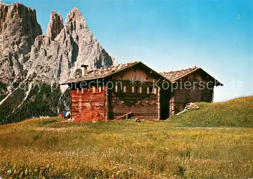 AK / Ansichtskarte Seiser_Alm_Dolomiten gegen den Schlern 