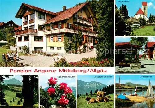 AK / Ansichtskarte Mittelberg_Oy Pension Angerer Pfarrkirche Dorfstrasse Landschaftspanorama Alpenrosen Alpvieh Gruentensee Allgaeuer Alpen Mittelberg Oy