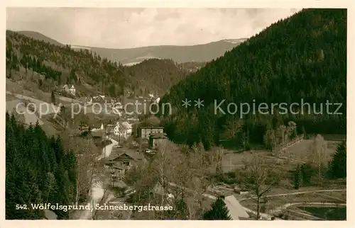 AK / Ansichtskarte Woelfelsgrund_Glatz Panorama Schneebergstrasse 