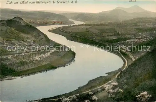 AK / Ansichtskarte Dolni_Zalezly_Salesel Panorama Blick ins Elbtal vom Muellerstein Dolni_Zalezly_Salesel