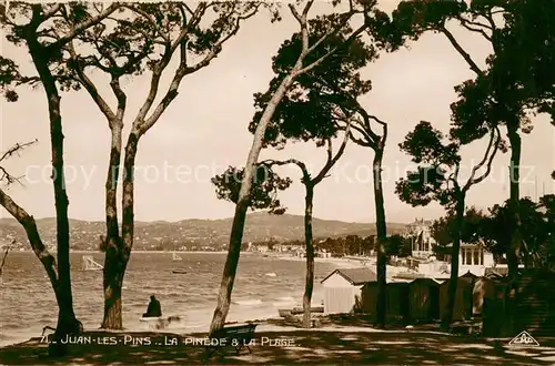 AK / Ansichtskarte Juan les Pins La Pinede et la plage Juan les Pins