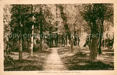 AK / Ansichtskarte Andrezieux Boutheon Chemin du Bonson Andrezieux Boutheon