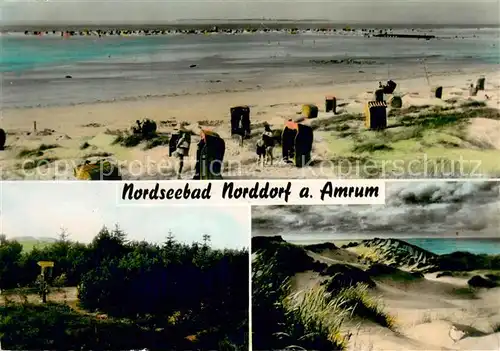 AK / Ansichtskarte Norddorf_Amrum Strand Duenenlandschaft Norddorf Amrum