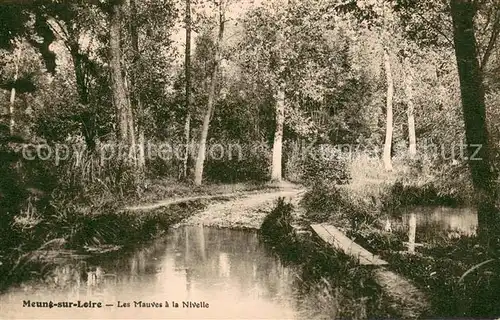 AK / Ansichtskarte Meung sur Loire Les Mauves a la Nivelle Meung sur Loire