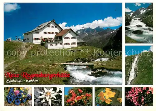 AK / Ansichtskarte Stubaital Neue Regensburger Huette Wasserfall Alpenflora Stubaital