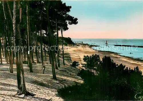 AK / Ansichtskarte Arcachon_33 Parc des Abatilles la cote vers le Moulleau 