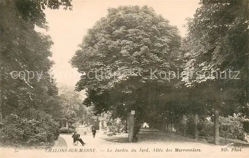 AK / Ansichtskarte Chalons sur Marne Le Jardin du Jard Allee des Marroniers 