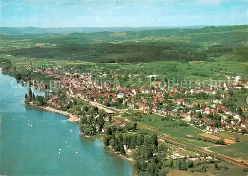 AK / Ansichtskarte Allensbach_Bodensee Fliegeraufnahme Allensbach_Bodensee