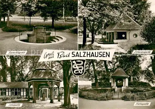 AK / Ansichtskarte Bad_Salzhausen Schwefelquelle Lithiumquelle Salzquelle Stahlquelle Bad_Salzhausen