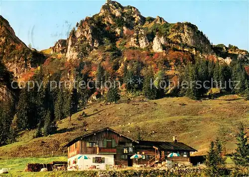 AK / Ansichtskarte Hochfelln_Ruhpolding Bruendling Alm Hochfelln Ruhpolding