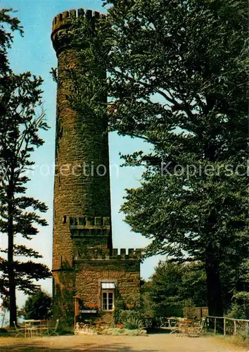 AK / Ansichtskarte Bueckeburg Ida Turm im Harrl mit Kaminstuebchen Bueckeburg