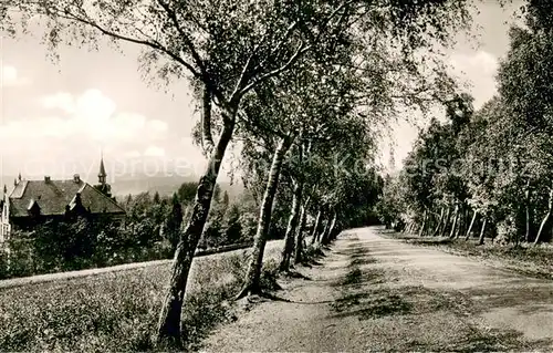 AK / Ansichtskarte Bueckeburg Waldweg Bueckeburg