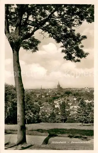 AK / Ansichtskarte Hildesheim Panorama Hildesheim