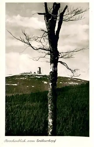 AK / Ansichtskarte Wernigerode_Harz Brockenblick vom Erdbeerkopf Offizielle Ansichtskarte Wernigerode Harz