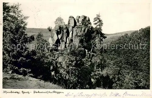 AK / Ansichtskarte Ilsenburg_Harz Paternosterklippe Harzklippen Felsen Natur Ilsenburg Harz