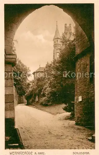 AK / Ansichtskarte Wernigerode_Harz Schlosstor Kupferton Wernigerode Harz