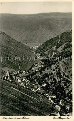 AK / Ansichtskarte Steeg_Bacharach Panorama Steeger Tal Steeg Bacharach