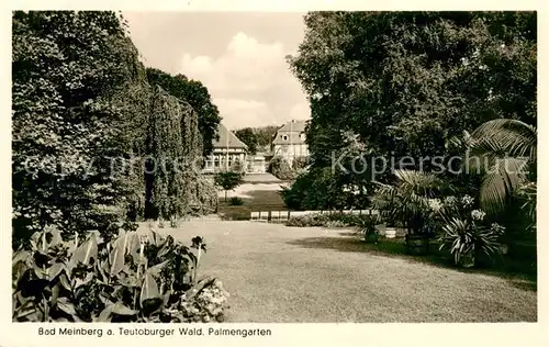 AK / Ansichtskarte Bad_Meinberg Palmengarten Bad_Meinberg