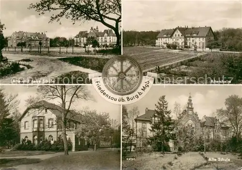 AK / Ansichtskarte Friedensau Schulen Altersheim Friedensau