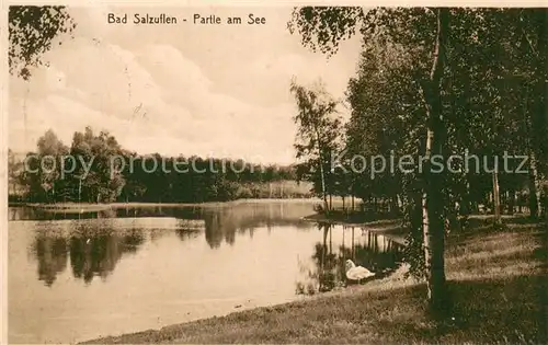 AK / Ansichtskarte Bad_Salzuflen Partie am See Bad_Salzuflen