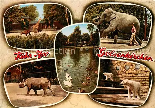 AK / Ansichtskarte Gelsenkirchen Ruhr Zoo Giraffen elefant Nashorn Eisbaeren Schwanenteich Gelsenkirchen