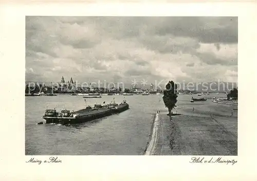 AK / Ansichtskarte Mainz_Rhein Blick von der Mainspitze Mainz Rhein