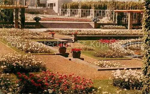 AK / Ansichtskarte Essen_Ruhr Grugapark Ruhrlaendische Gartenbau Ausstellung Pergolagarten Rosenanlage Rosencafe Offizielle Karte No. 96 Essen_Ruhr