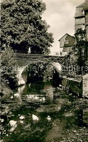 AK / Ansichtskarte Wetzlar Das Lahnpfoertchen Bruecke Wasservoegel Wetzlar