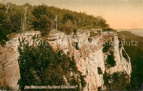 AK / Ansichtskarte Hessisch_Oldendorf Der Hohenstein Hessisch Oldendorf