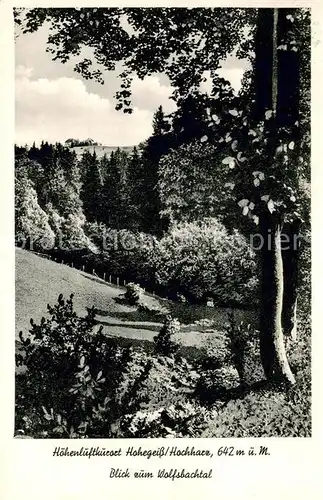 AK / Ansichtskarte Hohegeiss_Harz Blick zum Wolfsbachtal Hohegeiss Harz